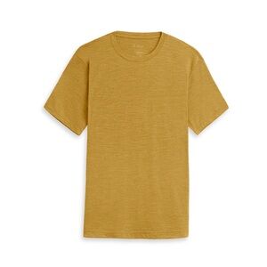 Ibex Men's Journey Short Sleeve Crew
Cedar Honey / L